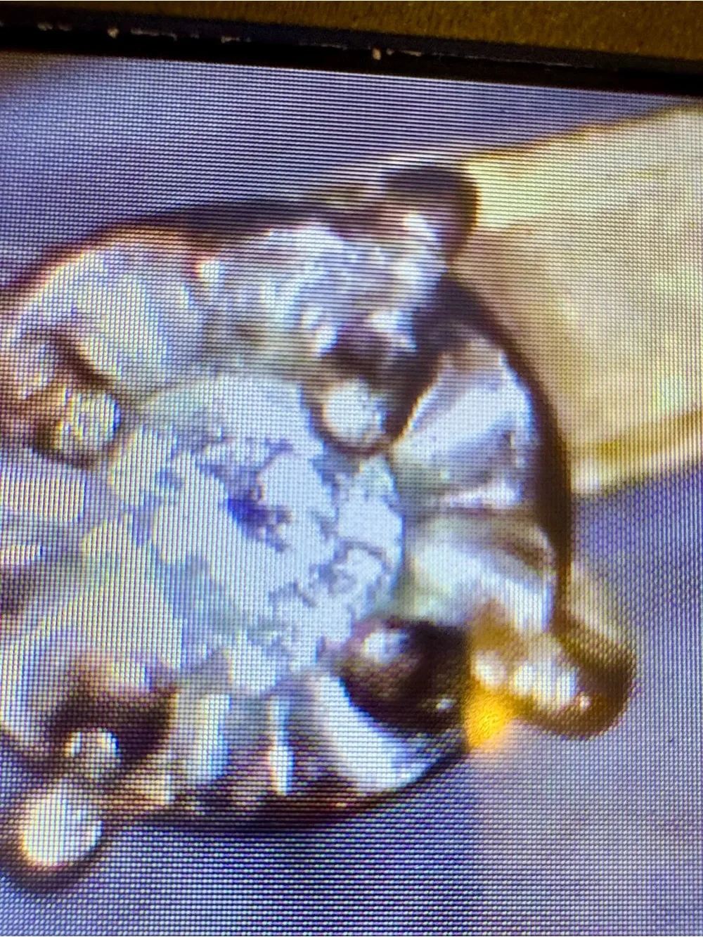 Classic Brushed 14kt Gold Solitaire Ring with Natural Diamond